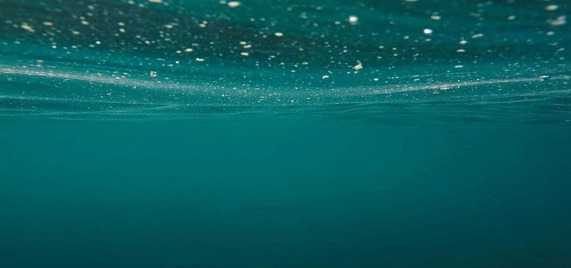 Les vuit boies que eliminen microplàstics instal·lades a l'Ampolla constaten que la majoria de residus que hi ha a la costa del municipi provenen de bosses de plàstic