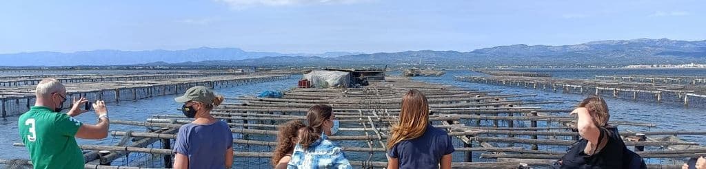 Periodistes del Regne Unit, França i l'Estat espanyol visiten l’Ampolla en el marc del programa ‘Buy Catalunya’
