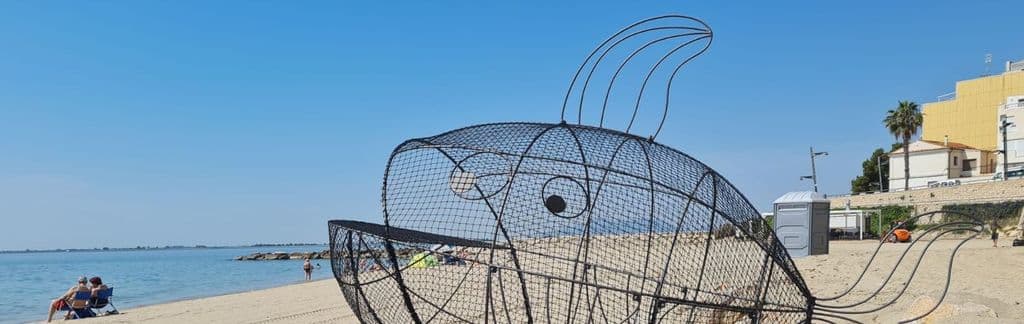 La Regidoria de Medi Ambient de l'Ampolla promou diversos projectes i activitats per a fomentar la cura de les platges