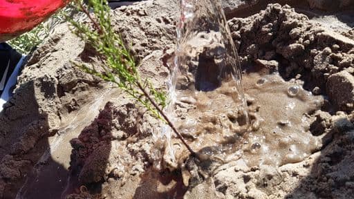 El Projecte LIBERA segueix impulsant accions per combatre els efectes dels temporals i l'ocupació d'espècies invasores a la zona del Goleró