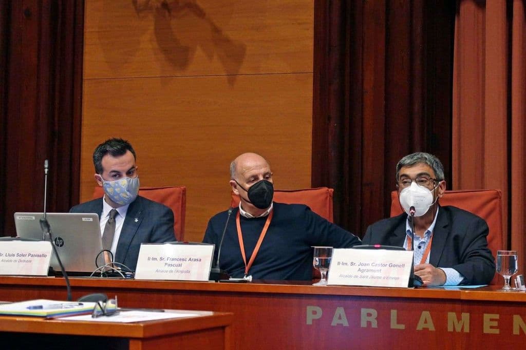 Compareixença Parlament Francesc Arasa.jpeg