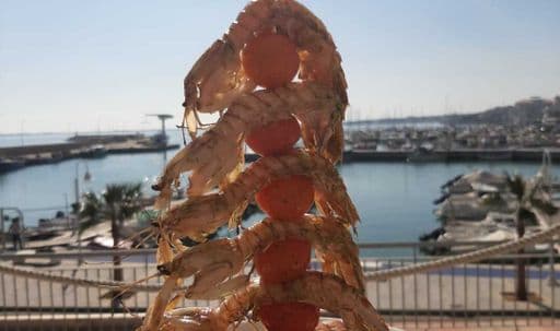 De l'11 de febrer al 13 de març, tornen les Jornades Gastronòmiques de la Galera a l'Ampolla