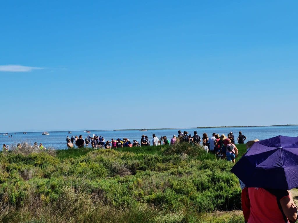 WhatsApp Image 2021-09-27 at 10.24.33.jpeg