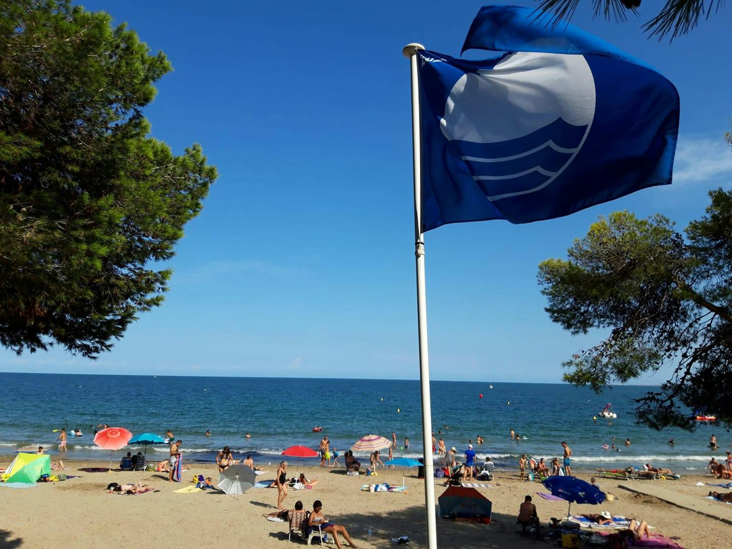 Les platges de Cap Roig i les Avellanes i el Club Nàutic Ampolla obtenen un any més el distintiu de 'Bandera Blava'