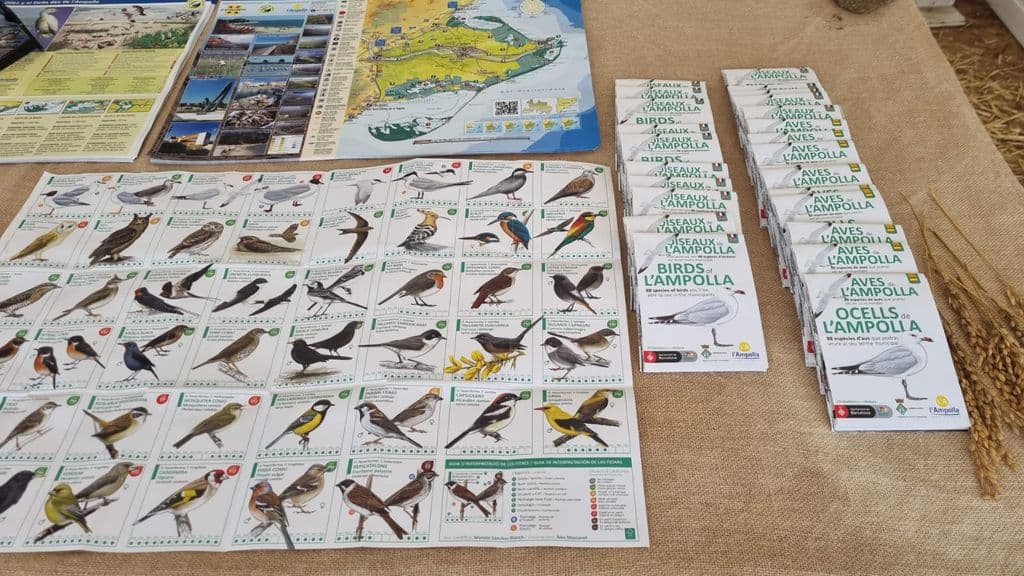 L'Ampolla participa en la fira ornitològica Delta Birding Festival