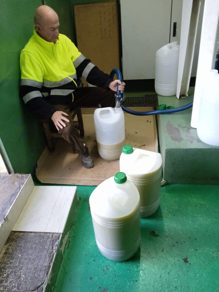 Recollida d'olives per a Càritas l'Ampolla (2).jpeg