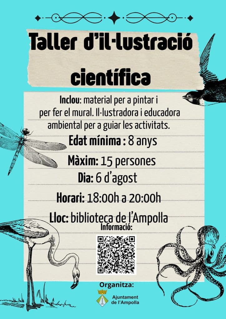 WhatsApp Image 2026-07-31 at 19.56.10 (2).jpeg
