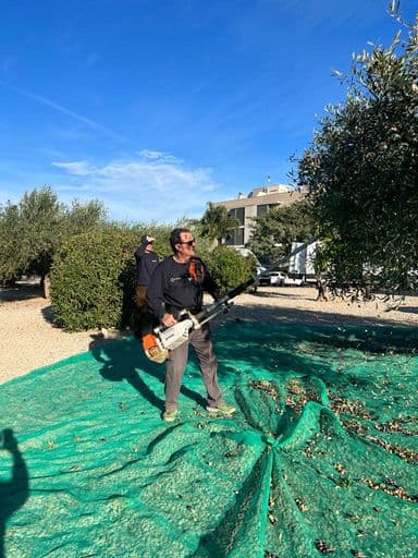 L’Ajuntament de l’Ampolla produeix 174 litres d’oli d’oliveres de propietat municipal per donar-lo a Càritas